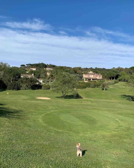 Maison Classee Sur Le Golfe De St Tropez Saint Tropez Exteriér fotografie